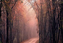 巴黎球迷集体罢战,支持球队前进欧冠决赛