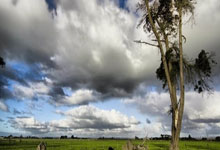 球场无悔:比赛中球员们尽情拼搏,争取最后胜利