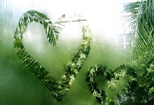 蒙古球队在国际比赛中取得重要胜利